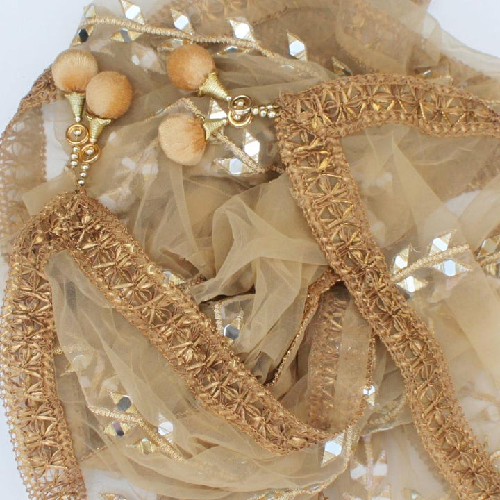 anokherang Dupattas Gold Net Mirror Trails Dupatta