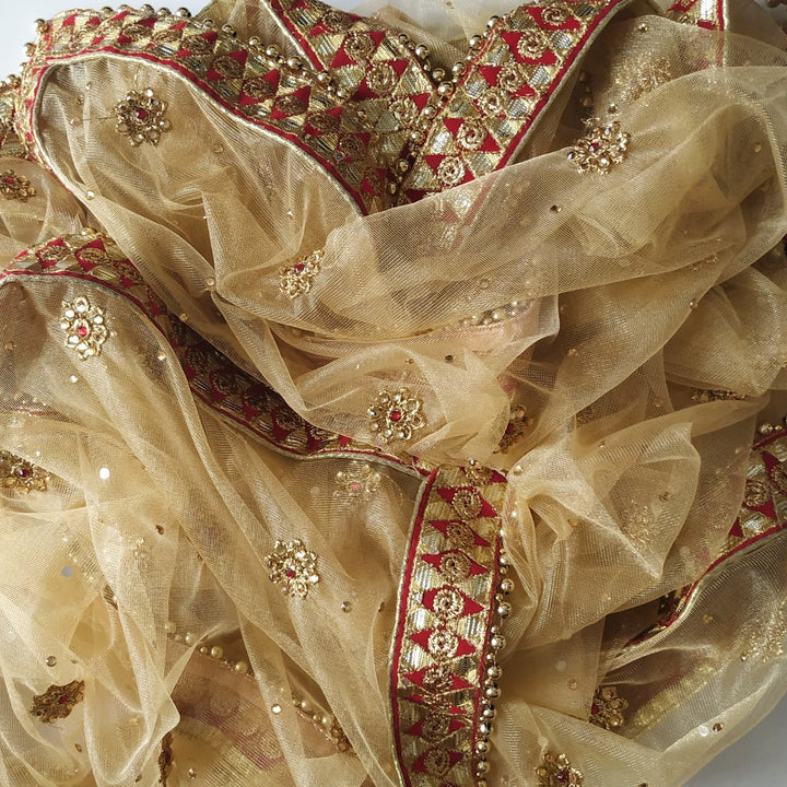 anokherang Dupattas Gold Net Thread Stone Embroidered Dupatta