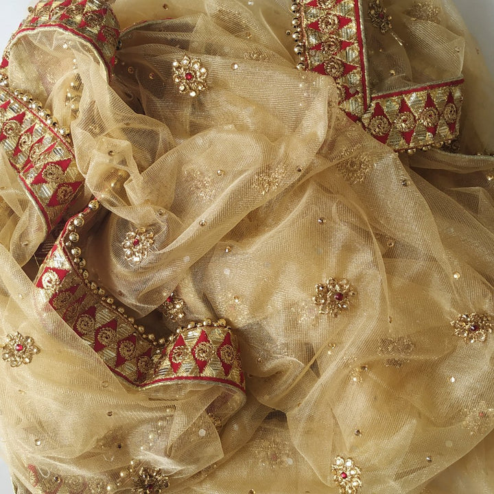 anokherang Dupattas Gold Net Thread Stone Embroidered Dupatta