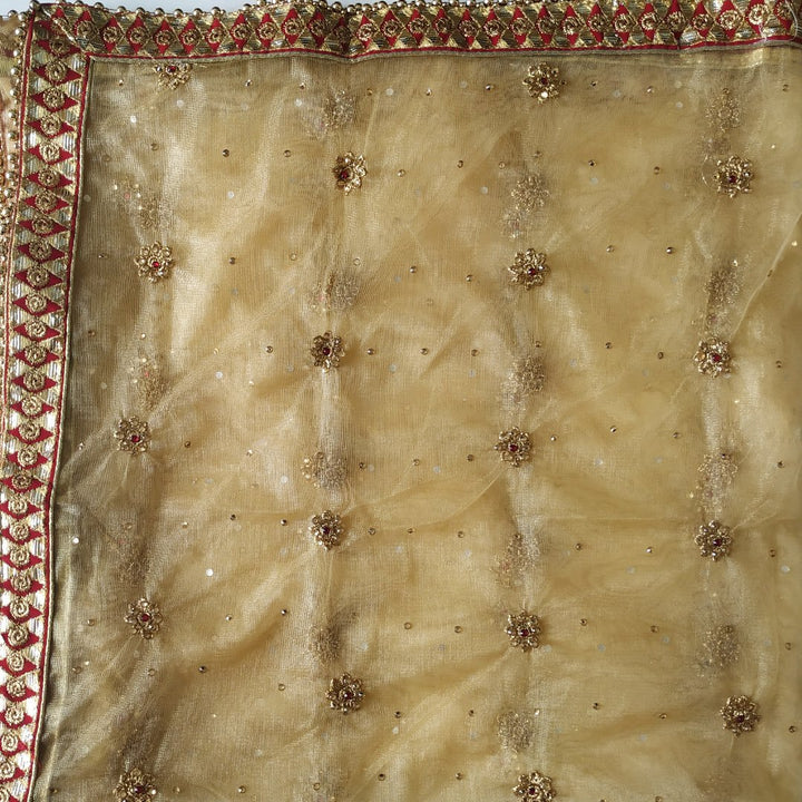 anokherang Dupattas Gold Net Thread Stone Embroidered Dupatta
