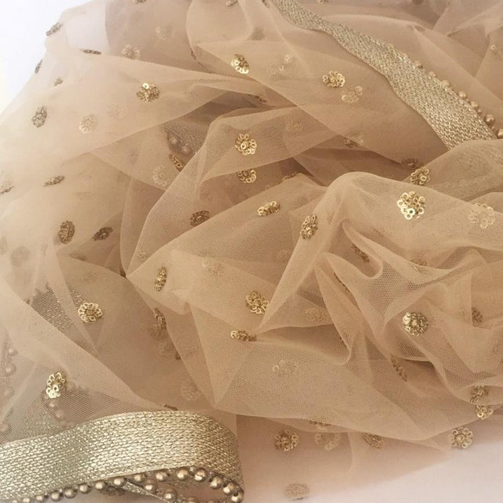 anokherang Dupattas Gold Sequenced Net Dupatta