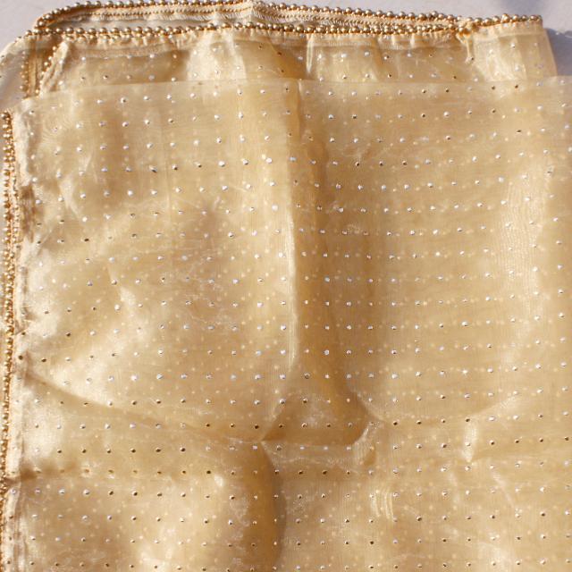 anokherang Dupattas Golden Polka Dot Foil Beaded Organza Dupatta