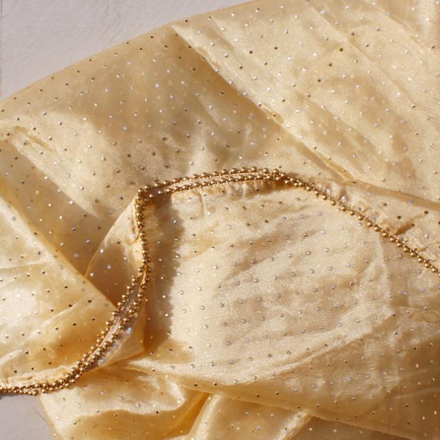 anokherang Dupattas Golden Polka Dot Foil Beaded Organza Dupatta