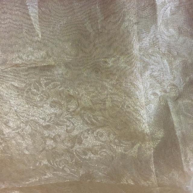 anokherang Dupattas Golden Queen Self Floral Print Tissue Dupatta