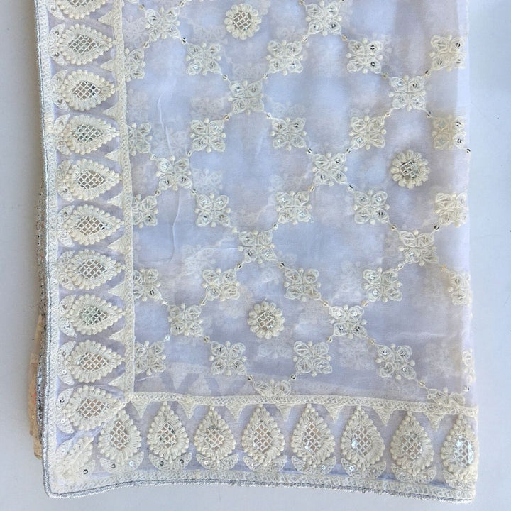 anokherang Dupattas Ivory HoneyCombe Thread Embroidered Chiffon Dupatta