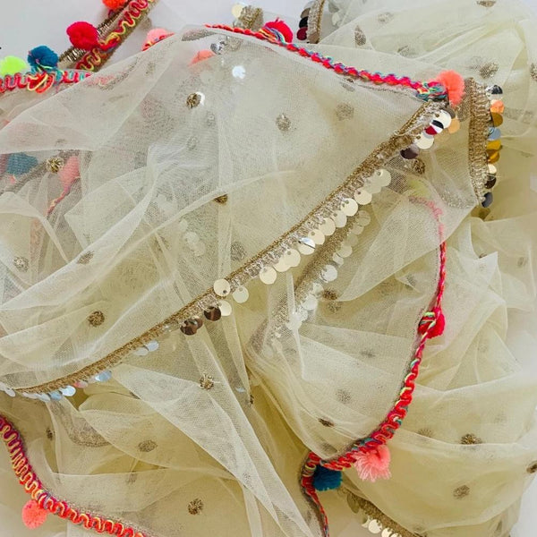 anokherang Dupattas Ivory Net Sequins Colorful Jhilmil Dupatta