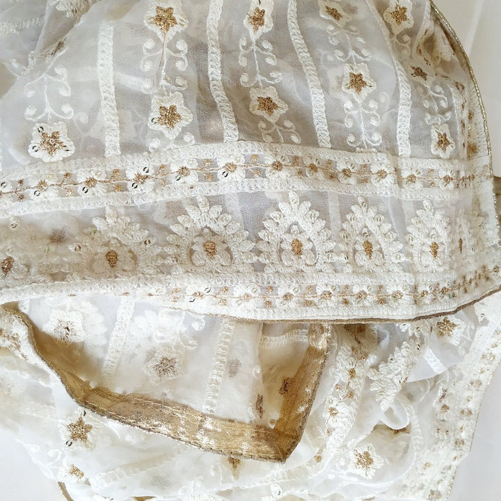 anokherang Dupattas Ivory Trails Thread Embroidered Sequenced Chiffon Dupatta