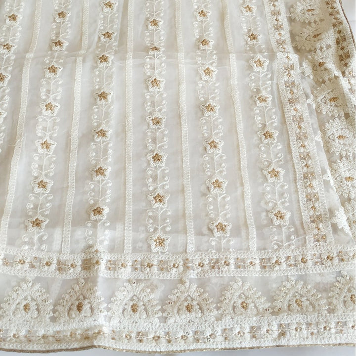 anokherang Dupattas Ivory Trails Thread Embroidered Sequenced Chiffon Dupatta
