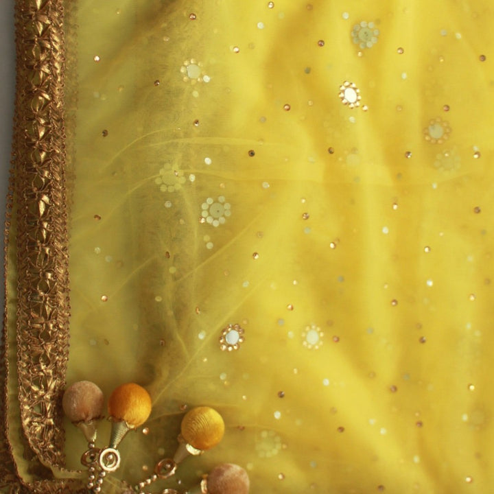 anokherang Dupattas Lemon Yellow Net Mirror Stone Dupatta