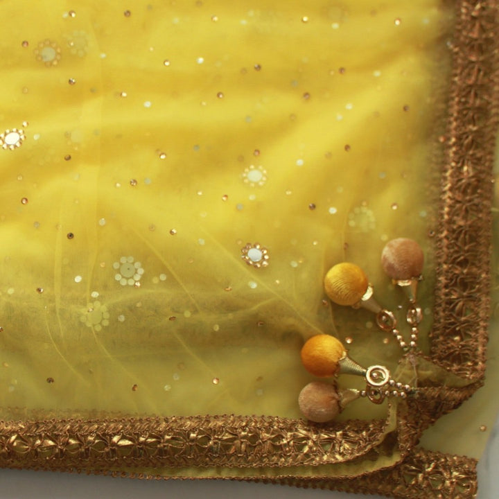 anokherang Dupattas Lemon Yellow Net Mirror Stone Dupatta