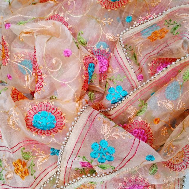 anokherang Dupattas Light Peach Floral Embroidered Organza Dupatta