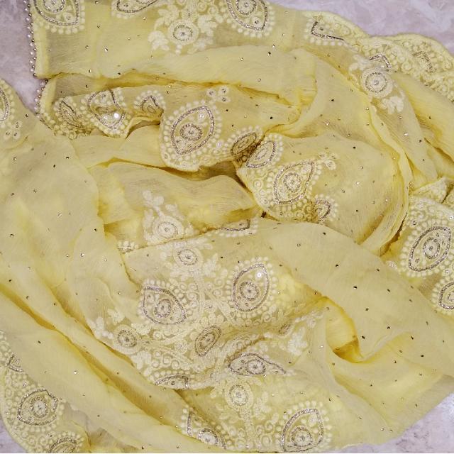 anokherang Dupattas Light Yellow Thread Embroidered Chiffon Dupatta