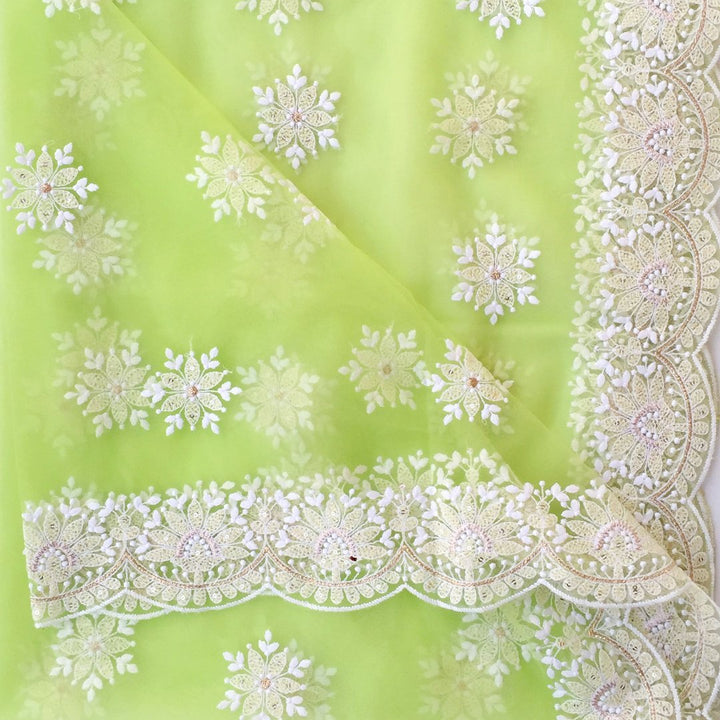 anokherang Dupattas Pastel Pista Chikankari Embroidered Net Dupatta