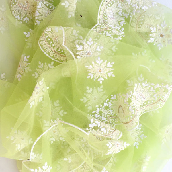 anokherang Dupattas Pastel Pista Chikankari Embroidered Net Dupatta