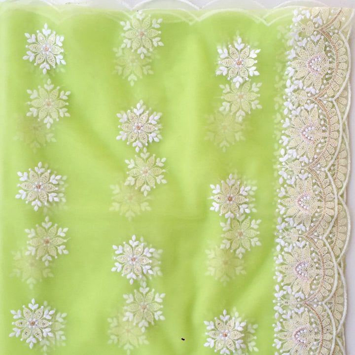 anokherang Dupattas Pastel Pista Chikankari Embroidered Net Dupatta
