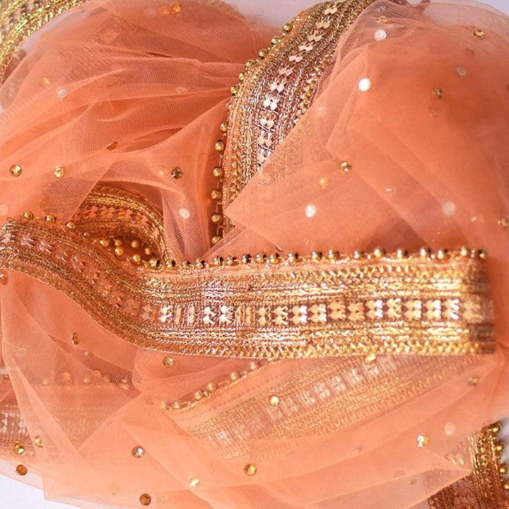 anokherang Dupattas Peach Smiles Net Stone Dupatta