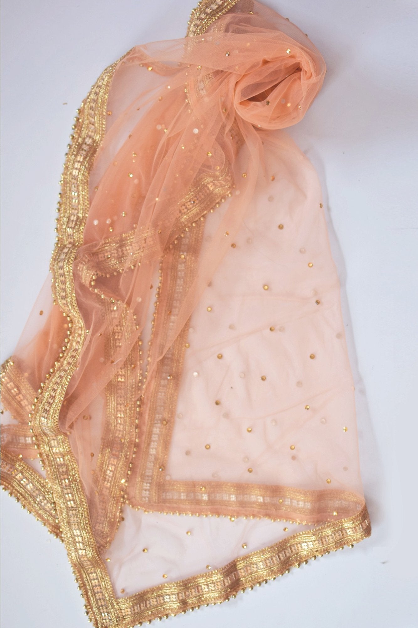 Fawn Embellished Dupatta with Beads and Stones main image 1