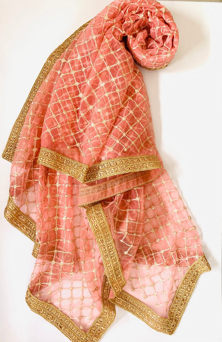 anokherang Dupattas Pink Net Sequins Criss Cross Dupatta