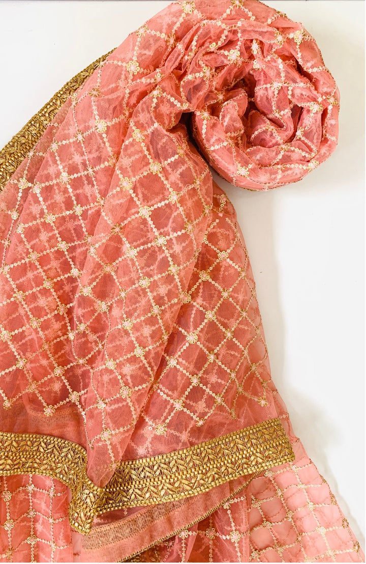anokherang Dupattas Pink Net Sequins Criss Cross Dupatta