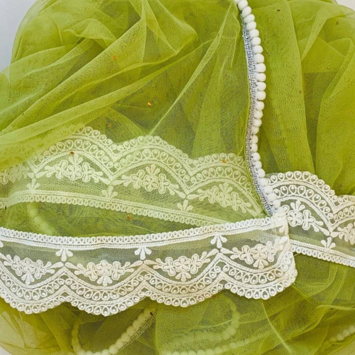 anokherang Dupattas Pista Green Crochet Net Mokaish Dupatta