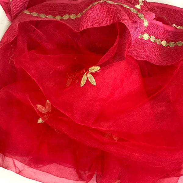 anokherang Dupattas Poppy Pink Mirror work Organza Dupatta