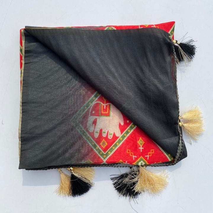 anokherang Dupattas Red Black White Patola Print Silk Dupatta