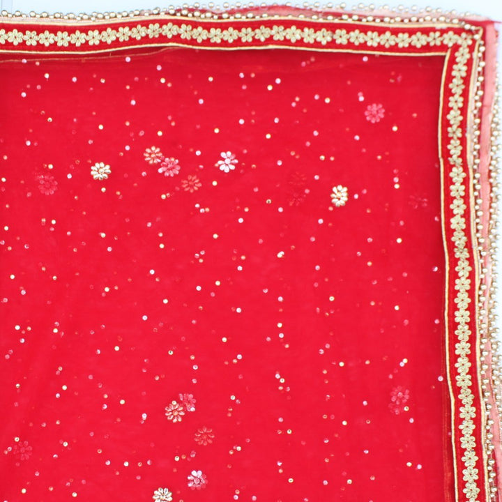 anokherang Dupattas Red Net Stone and Thread Embroidered Dupatta