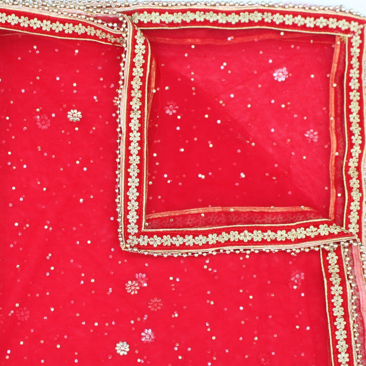 anokherang Dupattas Red Net Stone and Thread Embroidered Dupatta
