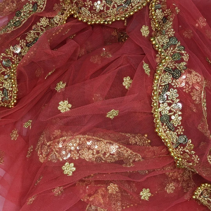 anokherang Dupattas Rust Sequence Trail Net Dupatta