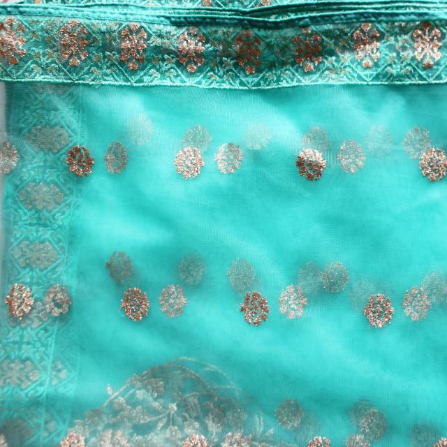 anokherang Dupattas Sea Green Gold Embroidered Net Dupatta