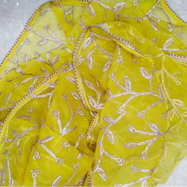 anokherang Dupattas Yellow Gotta Leave Trails Net Dupatta