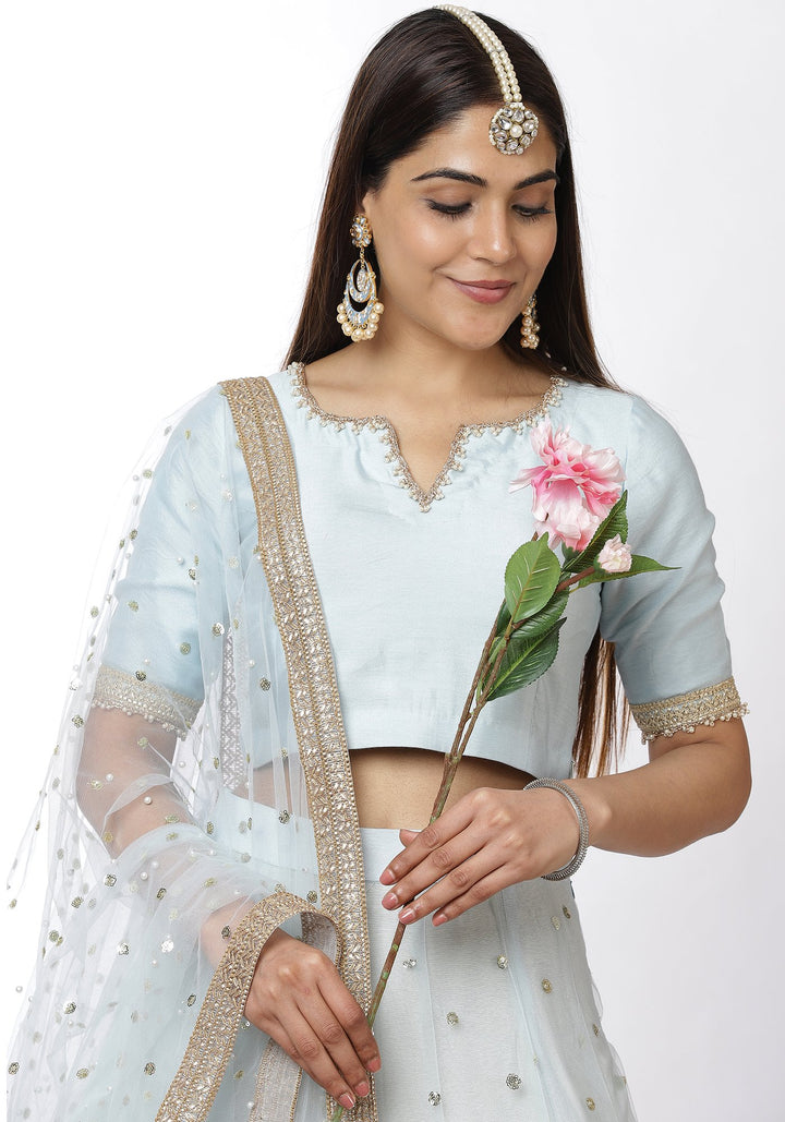 anokherang Lehenga Blush Blue Sequin Lehenga Choli