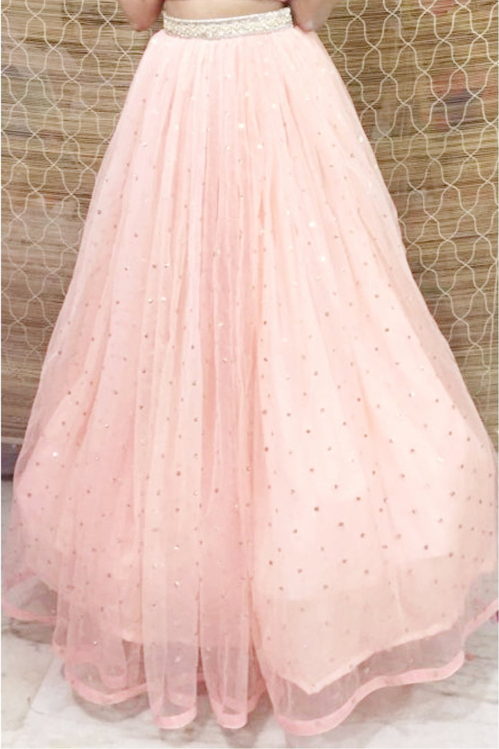 anokherang Lehenga Blush Pink Sequenced Net Barbie Skirt with Pure Georgette Pleated Blouse